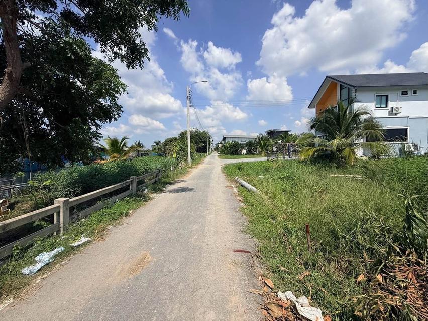 ขายด่วนที่ดิน 100 ตรว ติดถนนลาดยางสาธารณะ ซ.ประทุม บางบัวทอง นนทบุรี 10