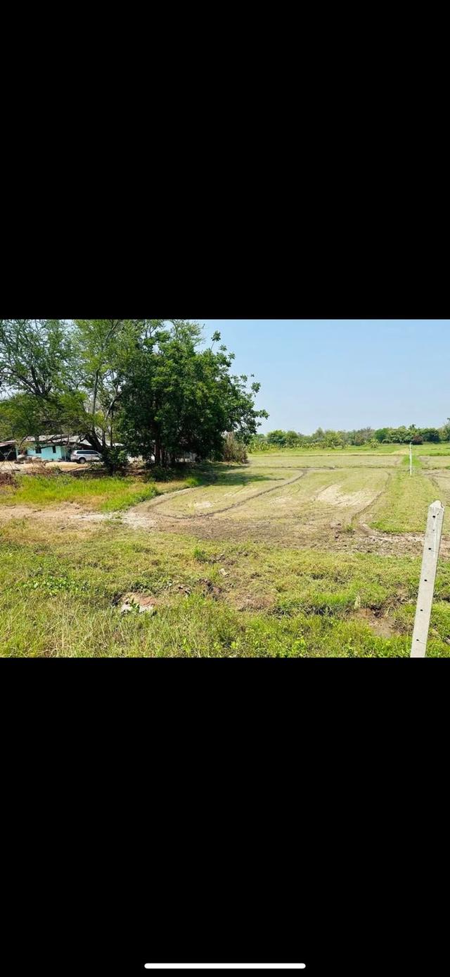 ขายที่ดิน เนื้อที่ 4ไร่ ต.เกาะพลับพลา อ.เมือง จ.ราชบุรี 9