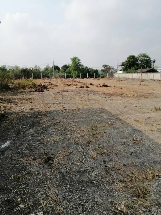 ให้เช่า ที่ดิน คลอง 10 ลำลูกกา 7 ไร่ 2 งาน 66 ตร.วา ทำเลดี ติดถนนลำลูกกา เหมาะทำการค้า โกดัง ปั๊มน้ำมัน 5