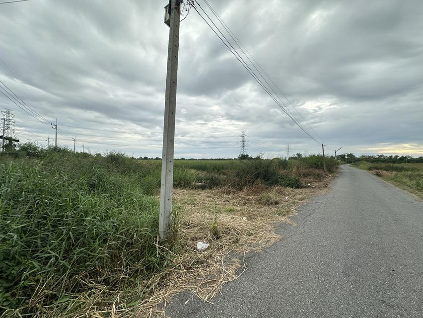 ขายที่ดินเปล่า เนื้อที่ 55-3-36 ไร่ ถนนศุขประยูร ตำบลหนองตีนนก อำเภอบ้านโพธิ์ จังหวัดฉะเชิงเทรา 13