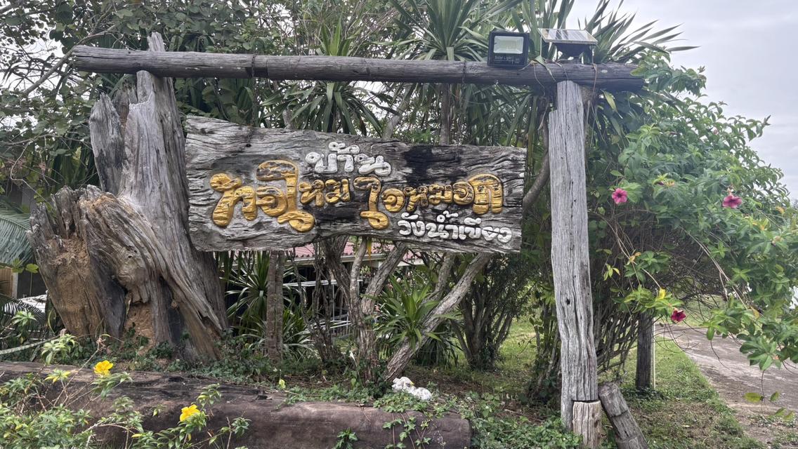 ทอไหม ไอหมอก รีสอร์ท 8 ไร่ 9.5 ล้าน บ.ไทรทอง อ.วังน้ำเขียว 10