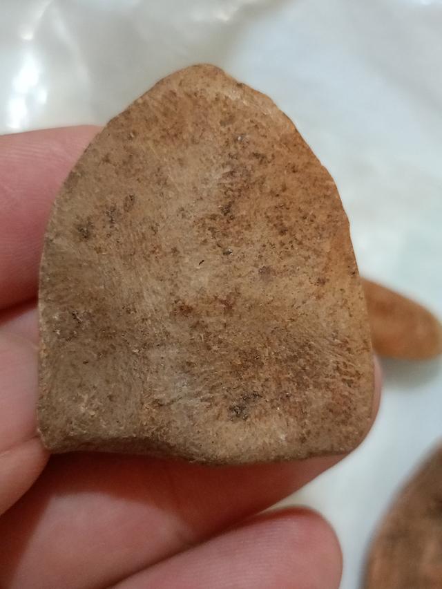 กรุหลวงพ่อโตเก่าดินเผา 2