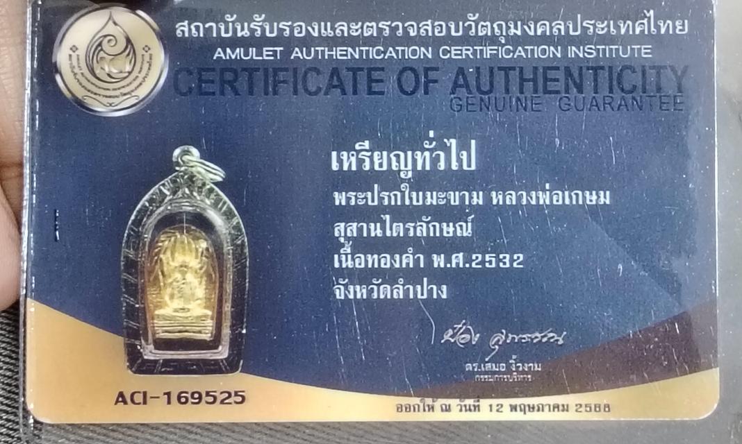 พระปรกซุ้มไผ่หลวงพ่อเกษมเนื้อทองคำ 5