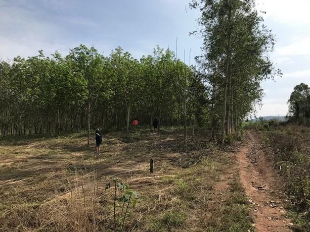 พื้นที่ดิน ที่ดิน บ้านนาค้อ ปากชม จ.เลย 1200000 บาท ใกล้ อยู่บ้านนาค้อ ห่างจากถนนทางหลวงสายปากชม-บ้านธาตุ ไม่ถึง 100 เมต 4