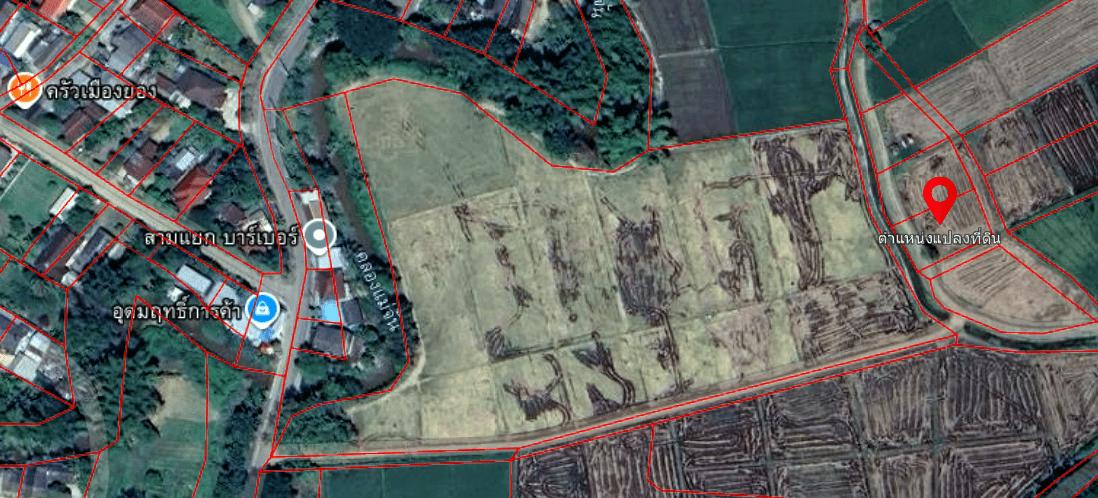 🔥 ขายที่สวยเกือบ 4 ไร่! ต.จันจว้า อ.แม่จัน เชียงราย 📍ที่ดินทำเลทอง ราคาจับต้องได้! ขายที่ดินสวย ใกล้แหล่งชุมชน เดินทางสะดวก น้ำไฟเข้าถึงครบ 4