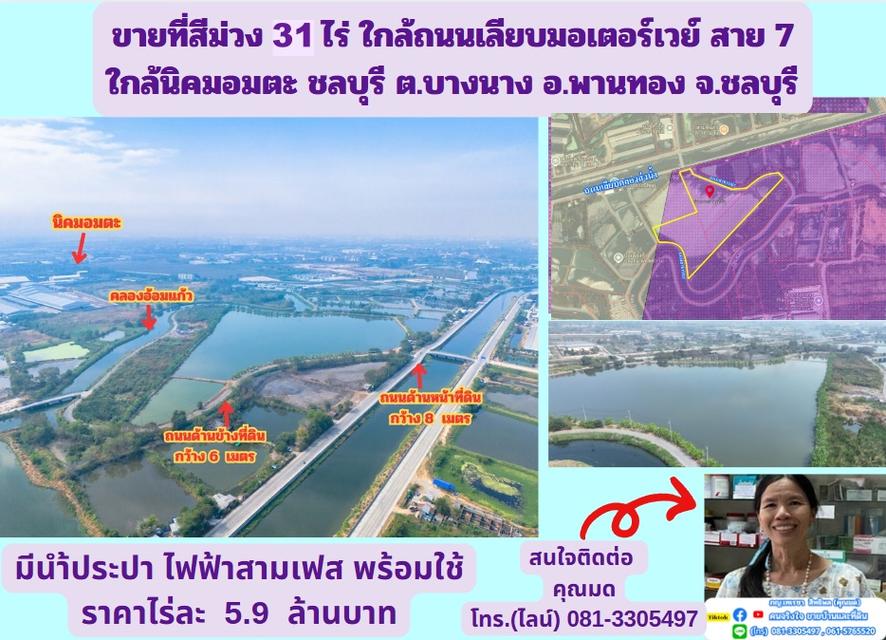 ขายที่สีม่วง  31  ไร่ ใกล้ถนนเลียบมอเตอร์เวย์ สาย 7 ใกล้นิคมอมตะ ชลบุรี  ต.บางนาง อ.พานทอง จ.ชลบุรี 1
