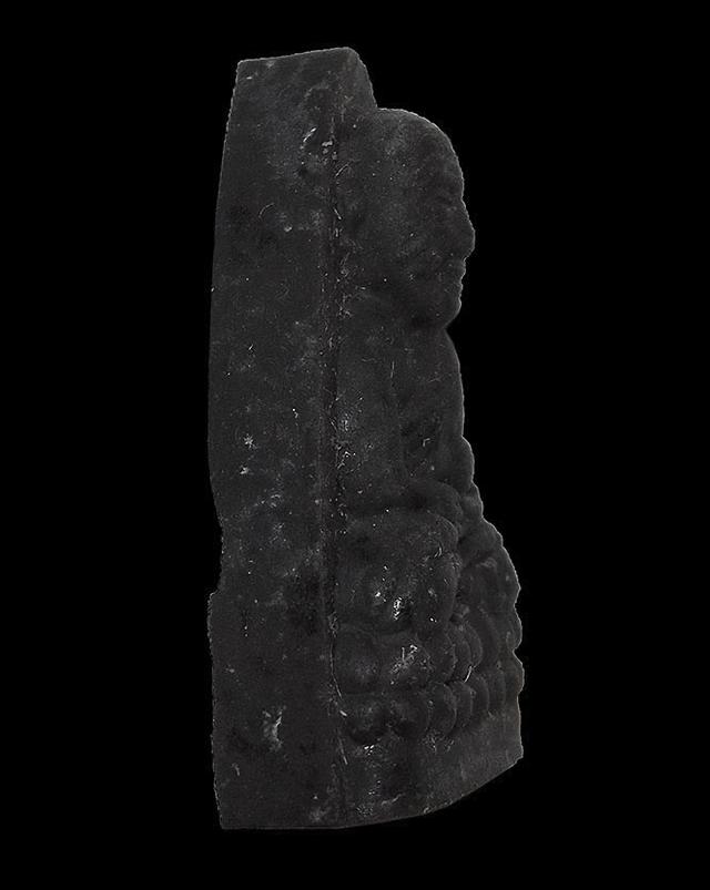 เนื้อว่านหลวงพ่อทวด วัดทรายขาว จ.สงขลา