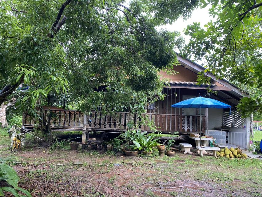 ขายที่ดินพร้อมบ้าน เนื้อที่ 365 ตารางวา อ.เกาะจันทร์ จ.ชลบุรี 1