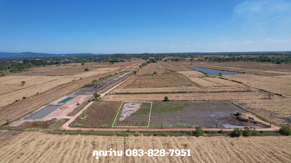 ขายที่ดิน 1 ไร่ มีโฉนด อ.ปากพลี ขายพร้อมโอน 420,000 บาท 6