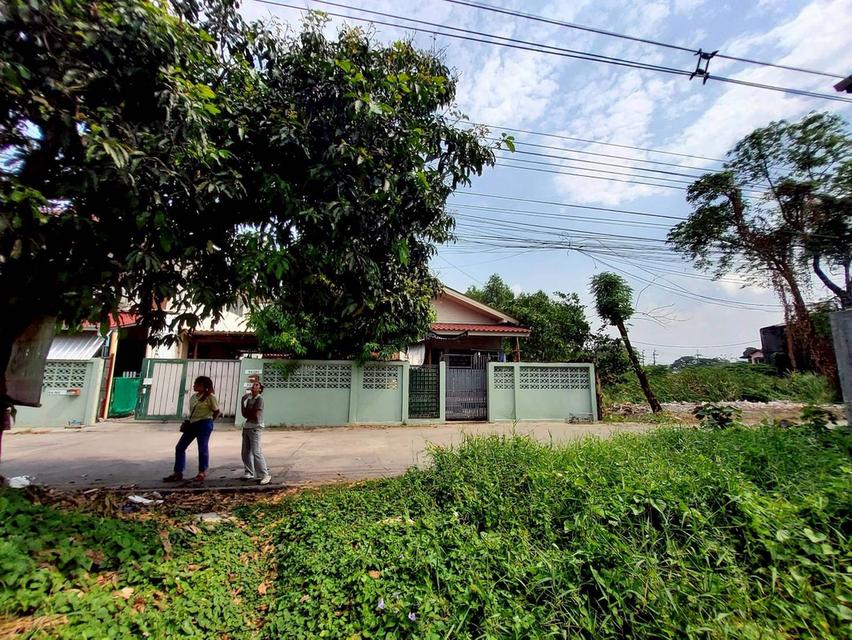 ขายถูกที่ดิน 111 ตรว ติดถนนคอนกรีตสาธารณะ  ถมแล้ว ซ.ติวานนท์-ปากเกร็ด 27 อ.ปากเกร็ด จ.นนทบุรี 6