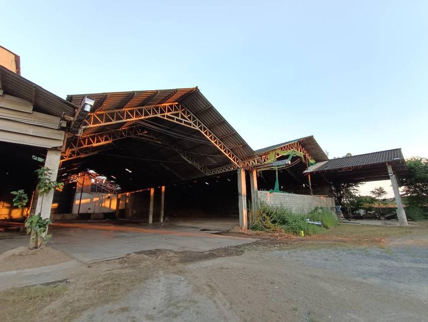 บ้านและที่ดินวิวหลักร้าน 10