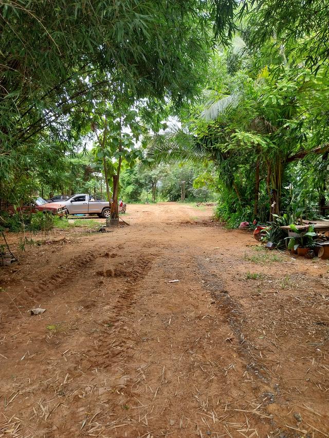 จะขายที่ดินเขตอำเภอโนนสังจังหวัดหนองบัวลำภู 2