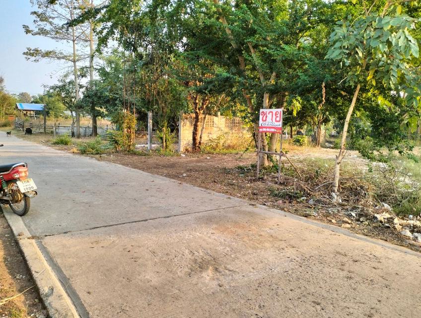 ขายที่ดินเปล่า127ตรว.หลังวิทยาลัยอาชีวไทยเทคเอเชีย ห่างถนนหลวง สมเด็จ-มุกดาหาร 200เมตร  8