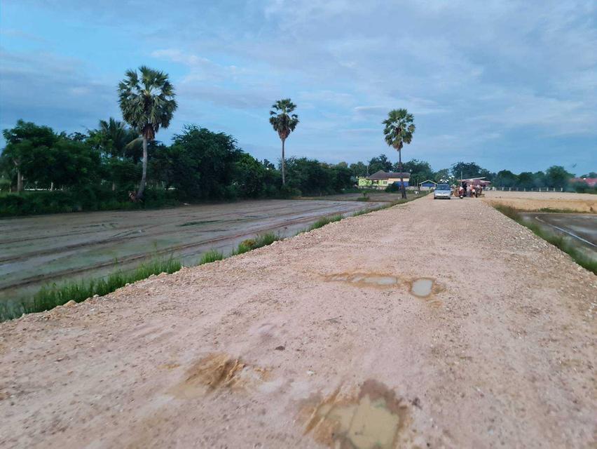 ขายที่ดินสวย ตำบลบ้านหม้อ จังหวัดเพชรบุรี 130 ตร.ว./แปลง ติดถนน 1326 3
