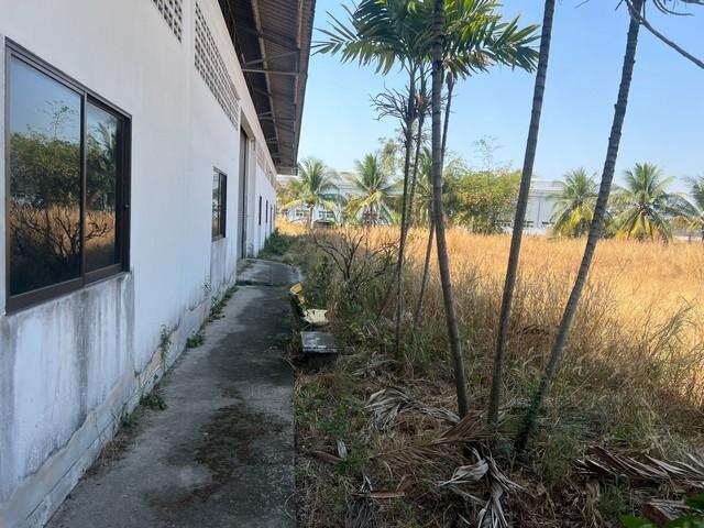 ให้เช่าโรงงานบ้านบึงชลบุรี เนื้อที่ 1,000 ตารางเมตร ติดถนน 344 บ้านบึง,ชลบุรี ที่ดินผังสีม่วงลา 2