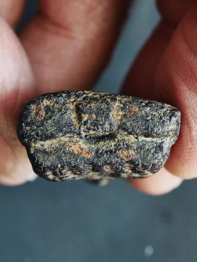 หลวงปู่ทวดเนื้อว่าน วัดช้างให้ พิมพ์กรรมการ เก่า เนื้อจัดๆ รูปที่ 10