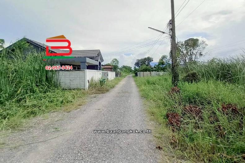 ที่ดินเปล่า ชุมชนสุสวาส 2 เนื้อที่ 75 ตร.ว (ใกล้การไฟฟ้าส่วนภูมิภาคสถานีไฟฟ้าคลองเจ็ด) ตำบลลำผักกูด อำเภอธัญบุรี ปทุมธานี 7