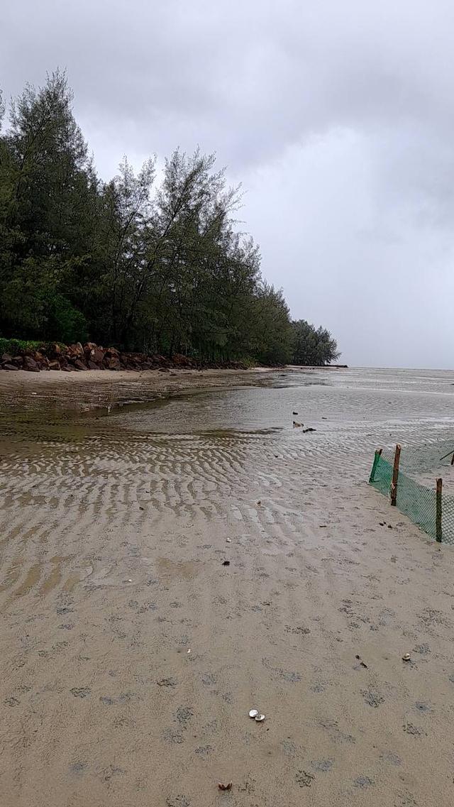 ขายเกาะและที่ดินติดชายหาดส่วนตัว 23 ไร่ ที่แหลมกลัด จ.ตราด ราคาสุดคุ้มเพียง 92 ล้านบาท 4