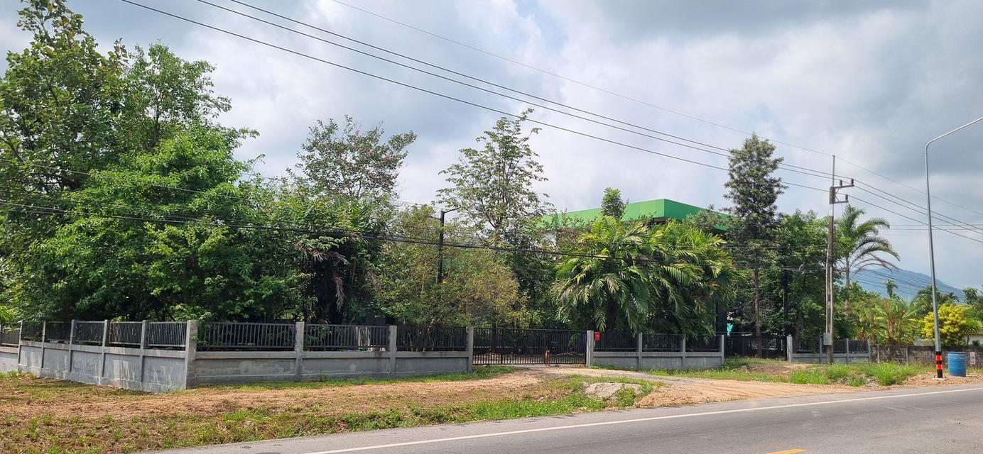 ต้องการขายบ้านที่ระยอง พิกัดบ้านเขาวังม่านสูงจากระดับน้ำทะเลปานกลาง 55 เมตร 3