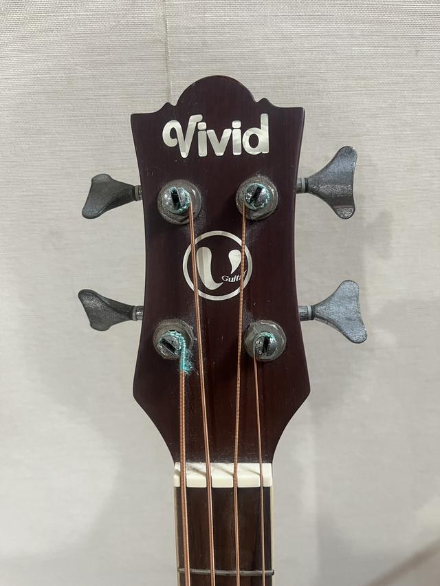 เบสโปร่งไฟฟ้า Vivid รุ่น 485C ไฟฟ้า 4 สาย ขายพร้อมตู้แอมป์เบส Behringer BX108 8 นิ้ว 15 วัตต์ รูปย่อยที่ 4