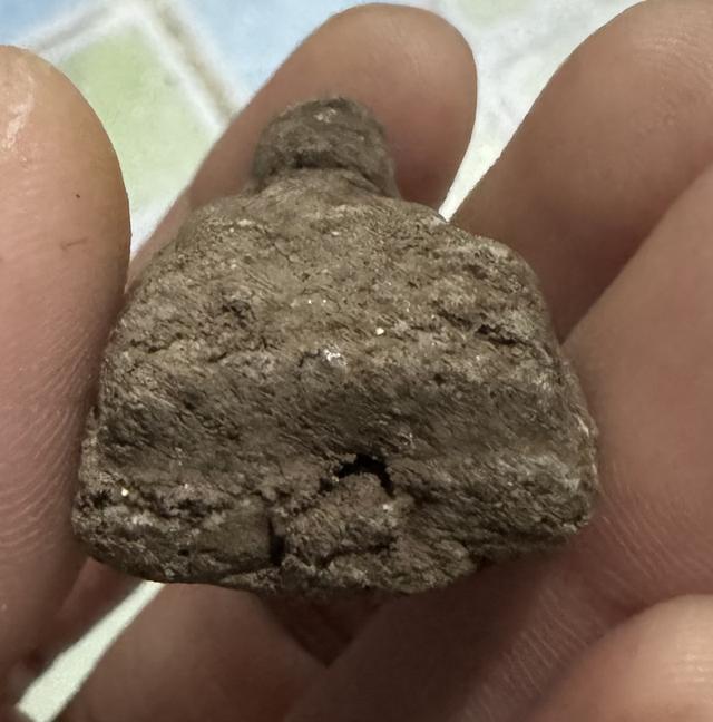 วัตถุในภาพคือ พระเครื่องหลวงปู่ทวด พิมพ์หลังเตารีด รูปที่ 2