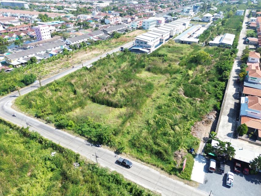 ขายที่ดิน ลำลูกกา คลองสอง 200 ตร.วา. ซอยผู้ใหญ่กำนัน หน้ากว้าง 28 ม. เหมาะปลูกบ้าน ใกล้เทศบาลลำสามแก้ว 6