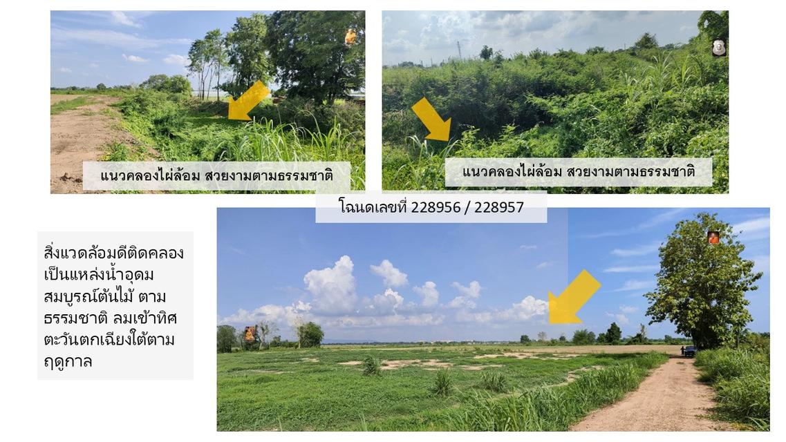 ที่ดินทำเลดี แปลงสวยโซนบึงพระใกล้เมืองพิษณุโลก 3