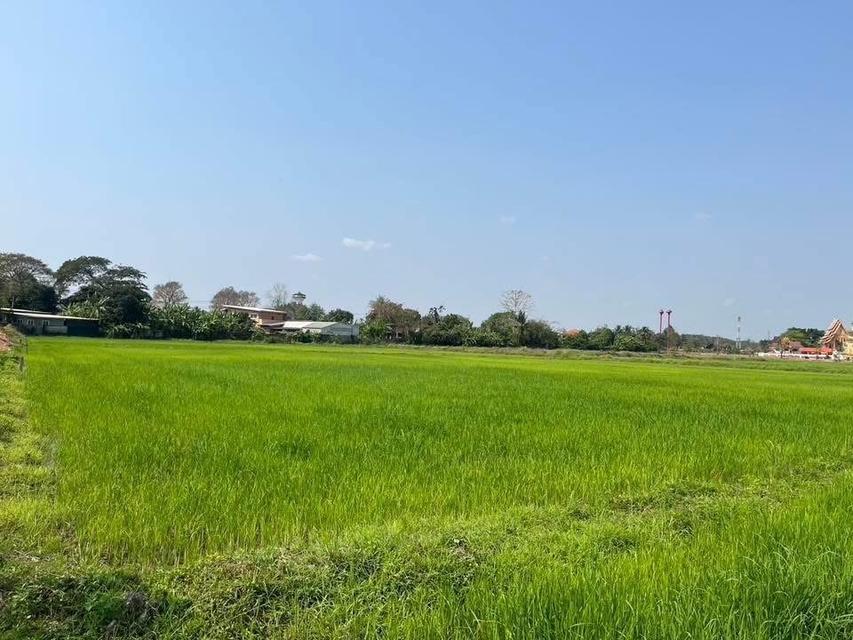 ที่ดิน ที่ทำเลดี จ.เชียงราย 9
