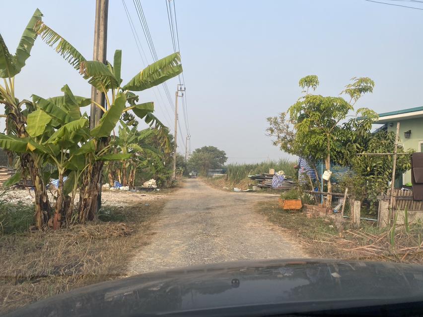 ขายที่ดินเปล่า เหมาะกับการทำธุรกิจ 2