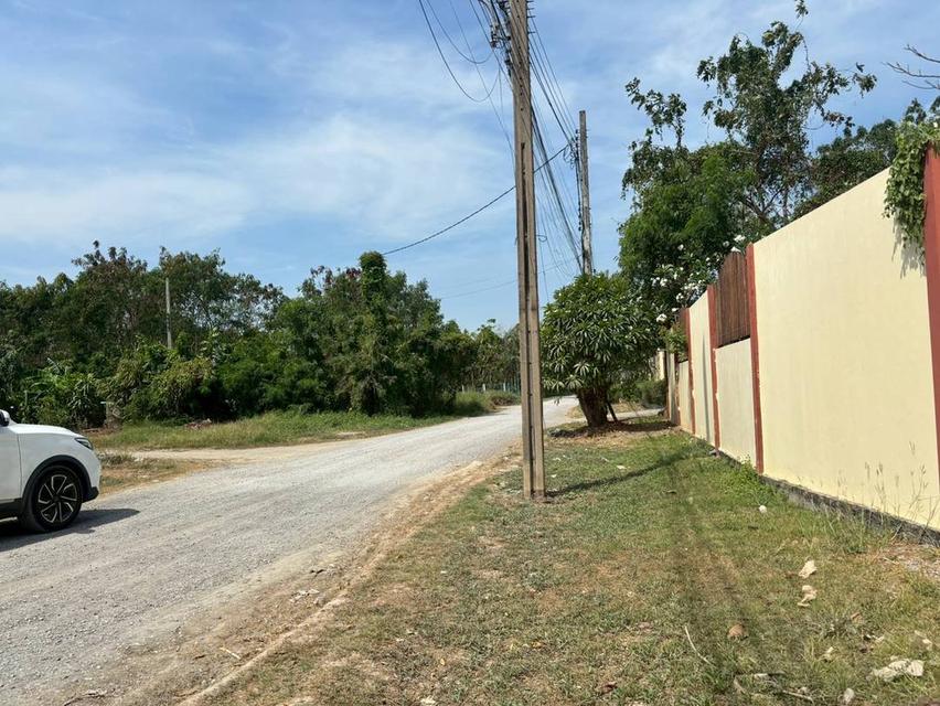 ขายที่ดินเปล่าเพื่อสร้างที่อยู่อาศัย 9