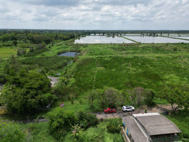 ขายที่ดิน รังสิตคลอง 13 ติดถนน ไร่ละไม่ถึงล้านโทร 061-9419-639 9