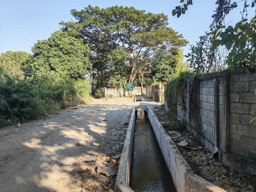 ที่ดินเปล่าเชียงใหม่ 2ไร่ 2งาน 5 ตรว. ขายต่ำกว่าราคาประเมิน 7