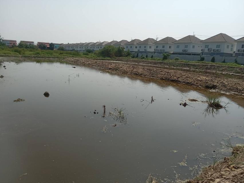 ขายที่ดินเปล่า 2 ไร่ ติดถนนคอนกรีต ซอยเทศบาลบางปู 83 4