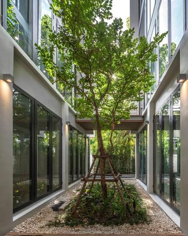 Home Office Stand Alone Sukhumvit 62 เพียง 450 m from BTSบางจาก 2