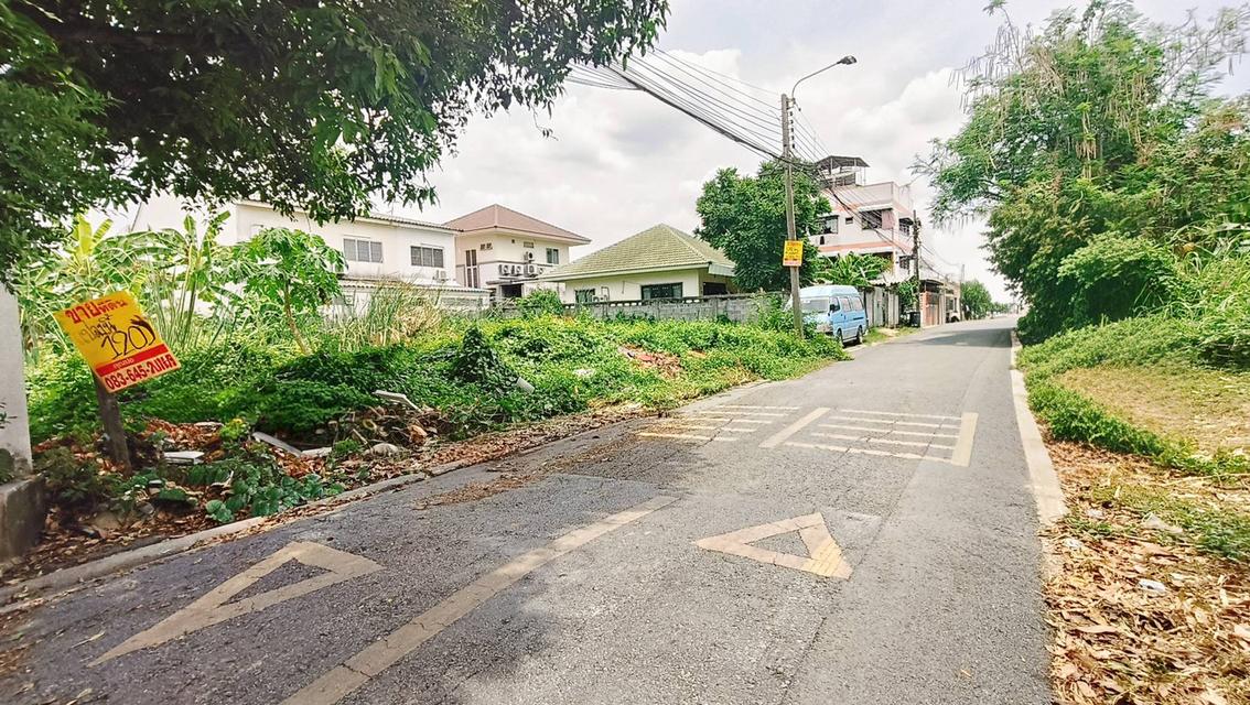 ที่ดินดอนเมือง120ตรว. ขาย4,700,000บาท 3
