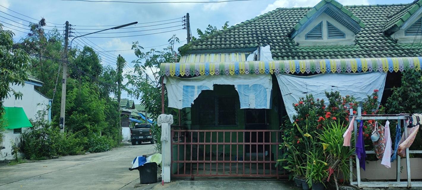 บ้านทาวน์เฮ้าส์ชั้นเดียว 1