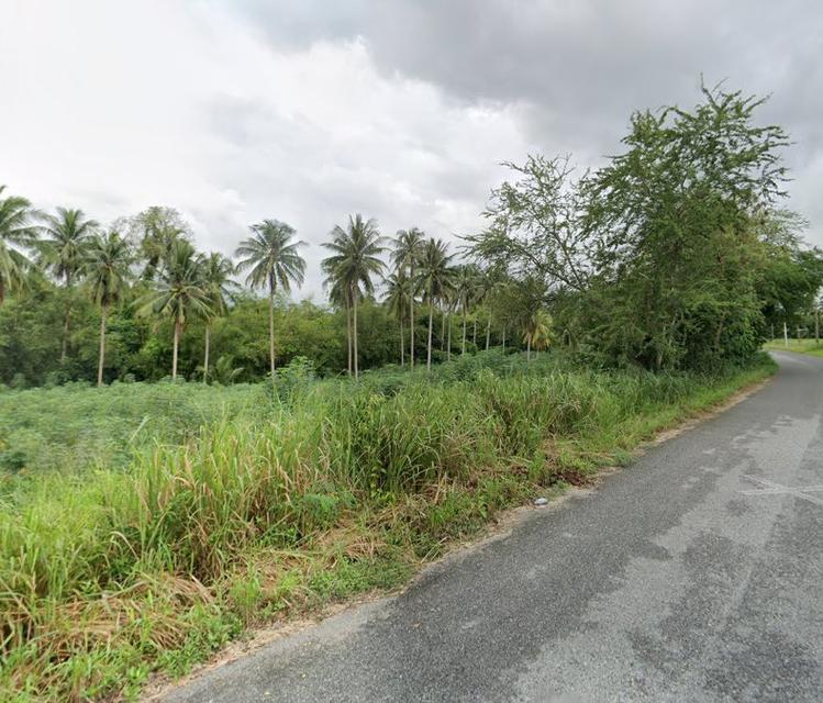 ขายที่ดินหนองขาม บ้านโค้งดาราเนื้อที่ 7 ไร่ ใกล้นิคมปิ่นทอง15กม. อ.ศรีราชา ชลบุรี 2