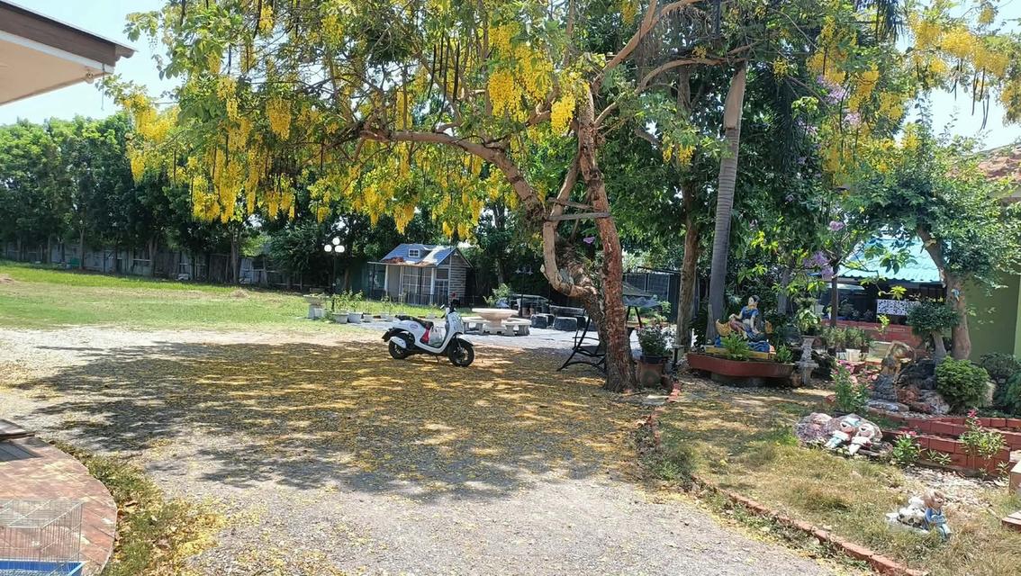 บ้านพร้อมที่ดิน อ.บ้านโป่ง จ.ราชบุรี 5