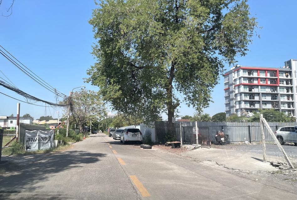 ขายที่ดิน 326 วา ใกล้ ม.รามคำแหง หัวหมาก 098 7755 808 3