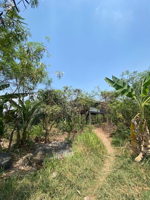 ขายที่ดินติดถนนเลียบคลอง เนื้อที่ 1-1-60ไร่ ใกล้ห้างไทวัสดุ ห้างโฮมโปรบายพาส ใกล้ถนนบายพาส ทล.204 เหมาะพัฒนาเป็นบ้านสวน รีสอร์ท 4