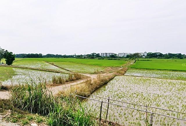 2 ขาย ที่ดิน ที่ดิน พิจิตร ใกล้กับ สถานีรถไฟพิจิตร พิจิตร เมืองพิจิตร 880000 บาท 3 ไร่ 1200 ตารางวา 1