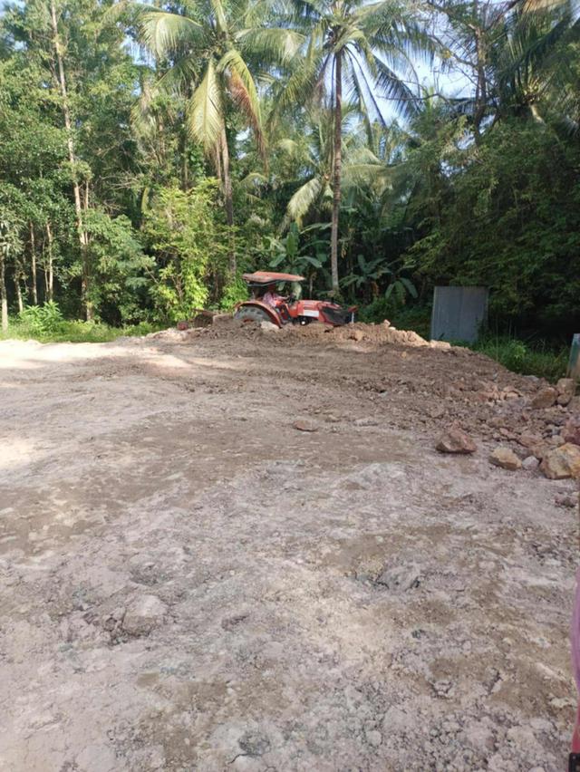 🌴ด่วน! ขายที่ดิน 6ไร่ นครศรีธรรมราช  พร้อมสวนปาล์ม ถมที่แล้ว น้ำไม่ท่วม  5