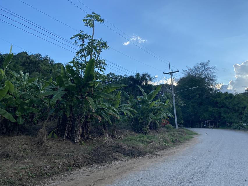 ขายที่ดินสวยสี่เหลี่ยมจัตุรัส มีโฉนด ติดถนนดำ ไฟฟ้า น้ำปะปา มีครบ วิวด้านหน้าเป็นภูเขา สามารถทำบ้านตากอากาศได้ดีใกล้กับวัดบุญน้ำทิพย์ บ้านพี้ ต.บ้านโต 4