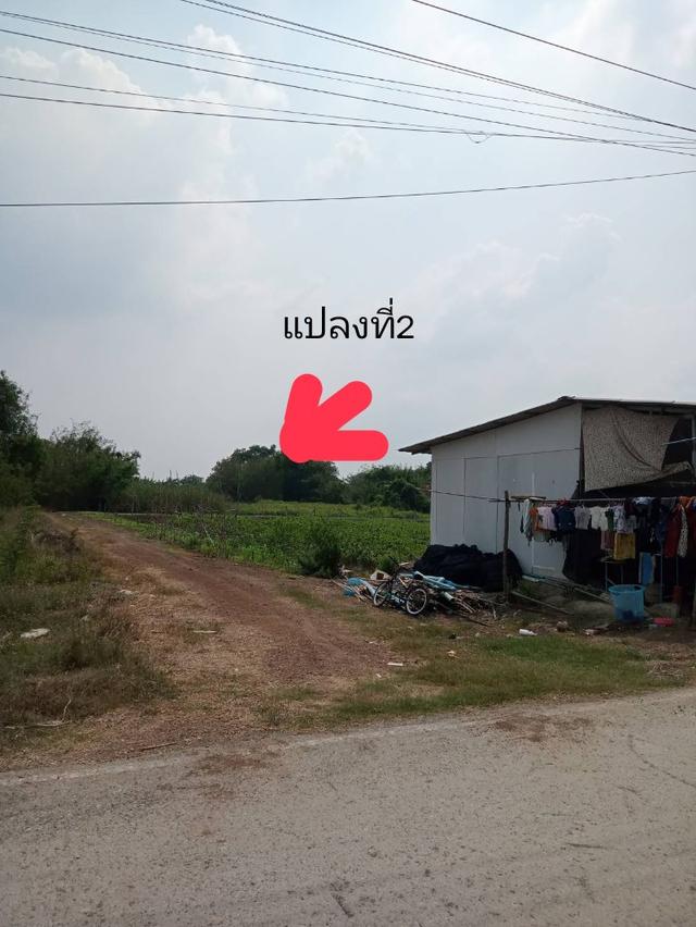 ที่ดิน ว่างเปล่า นนทบุรี 1
