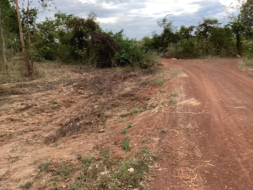 ขายที่ดิน76ไร่เพื่อโครงการโซล่าเซลล์ใน จ.สกลนคร 8