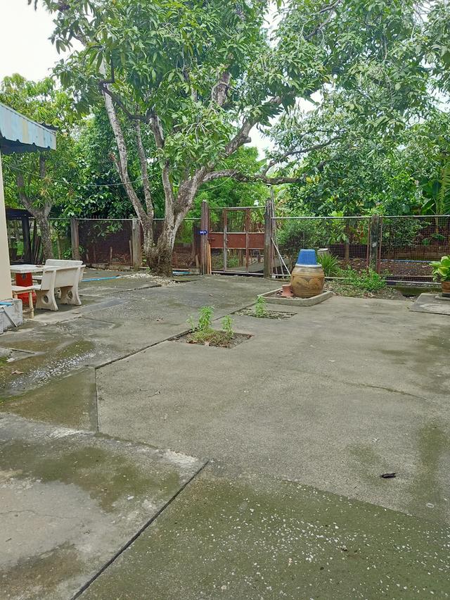 บ้านพร้อมที่ดิน 2