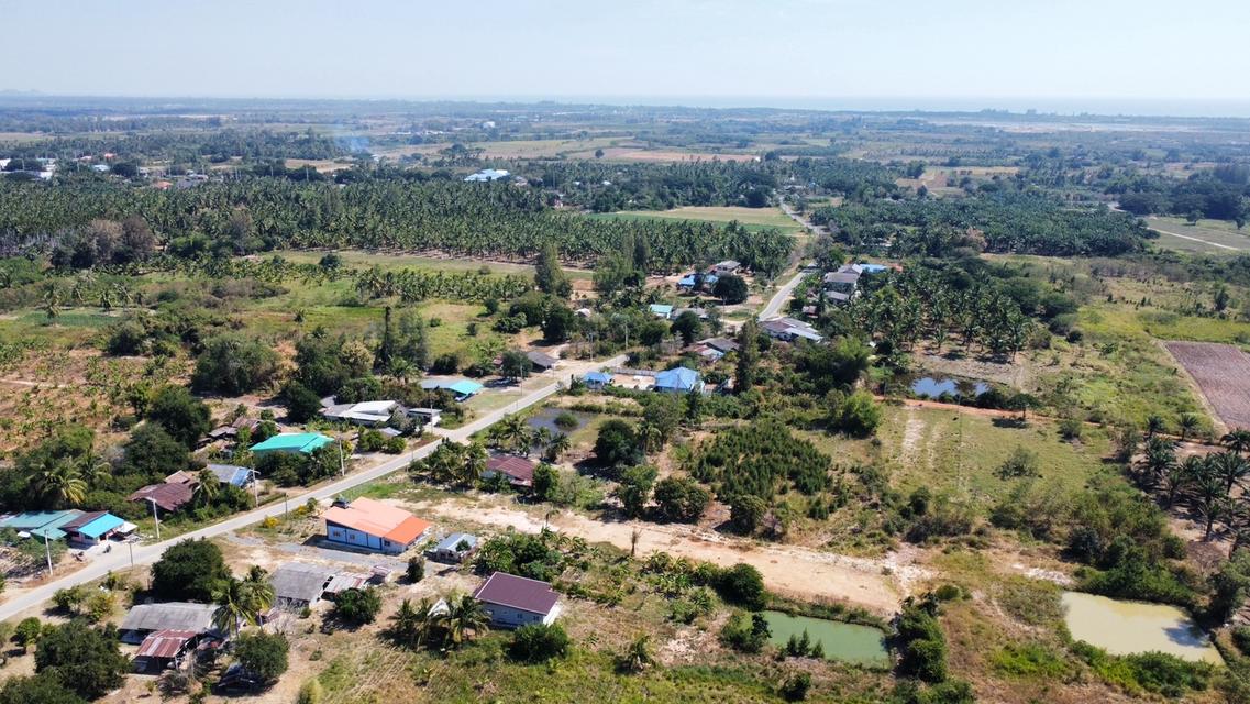 ที่ดิน บ่อนอก ประจวบคีรีขันธ์ ขนาด 50 ตรวา 149,000 บาท 7
