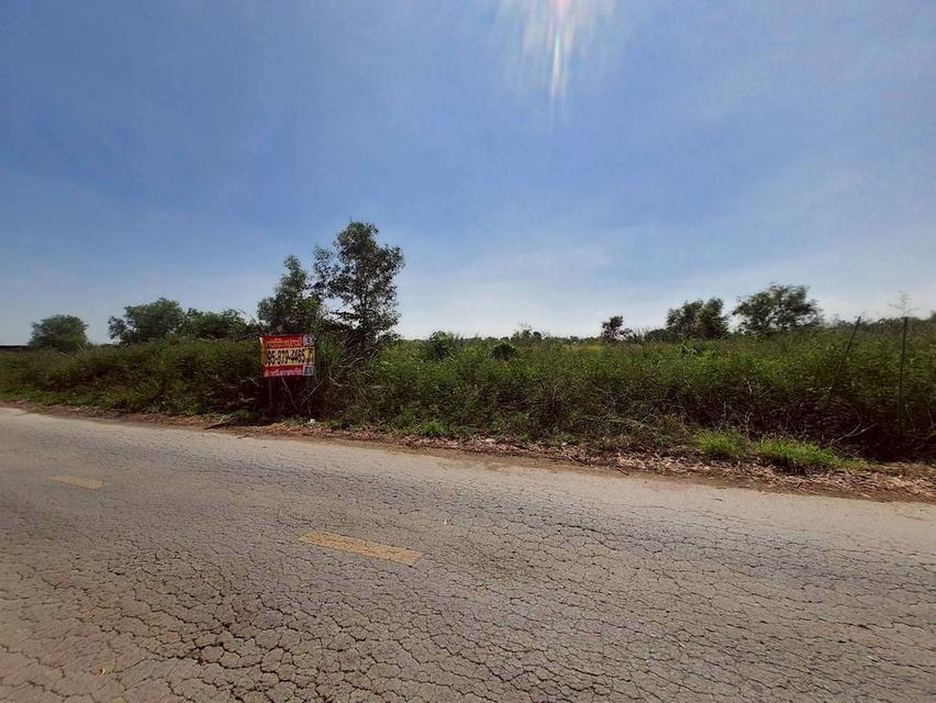 🔊Vายถูก‼️ที่ดิน 100 ตารางวา💢ติดถนนลาดยางสาธารณะ 📌 คลองสี่ ตะวันออก70 อ.คลองหลวง จ.ปทุมธานี 6