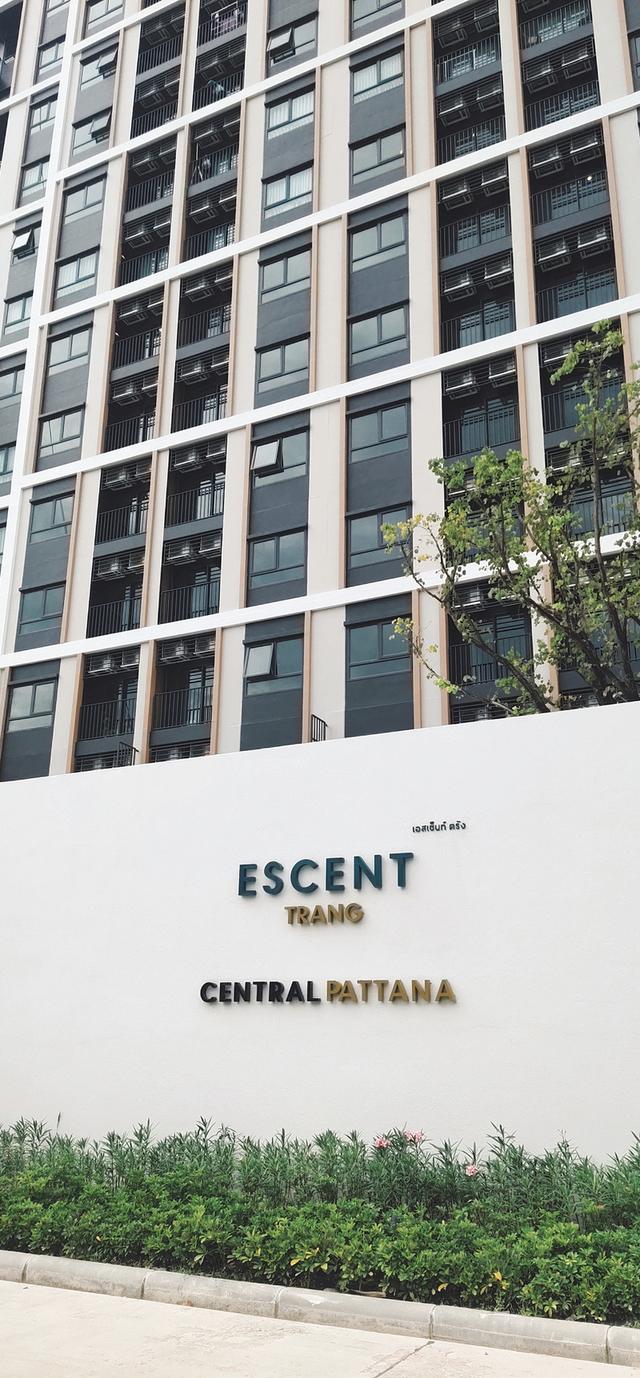 คอนโด Escent Trang ติดโรบินสันตรัง 1