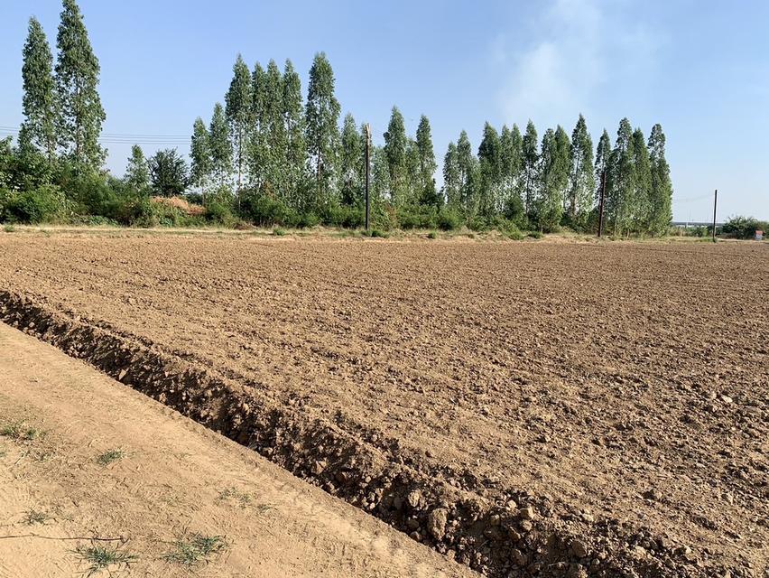 ขายที่ดินสวย16ไร่ ต.วังศาลา อ.ท่าม่วง แปลงสวย ทำเลดี แหล่งชุมชน ใกล้กรุงเทพ เดินทางสะดวก 3